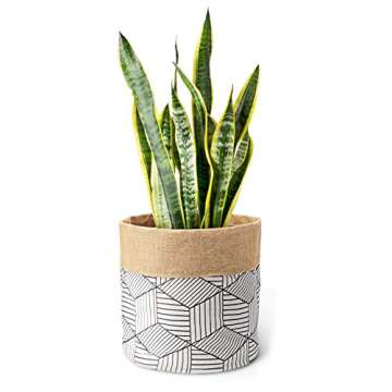 Mkono Plant Basket Cotton Linen Modern Indoor Planter Up to 10 Inch Pot Double-Faced Flower Pot Cover with Jute Lining for Storage Organizer Home Decor, 11" x 11"
