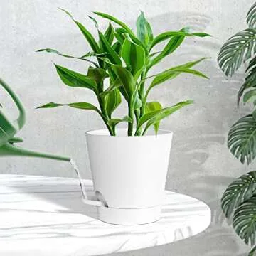 Warmplus Plastic Planters for Indoor Plants, 8/7/6.5/6/5.5/5 Inch Plant Pots with Drainage Holes, Watering Wick, Watering Lip for Most Indoor Outdoor Plants and Flowers, White