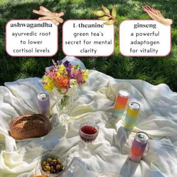 Moment Adaptogen Drinks Non Alcoholic Sparkling Refreshment