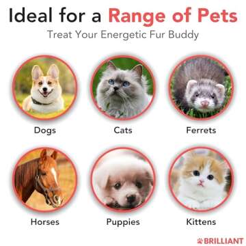 Salmon Oil for Dogs - Healthy Skin & Coat, All Natural Norwegian Fish Oil Food Supplement for Pets, Omega 3 EPA DHA, Ideal for Shedding, Allergy, Itching, Dry Skin, Joint & Bone Health - 16.9 Oz