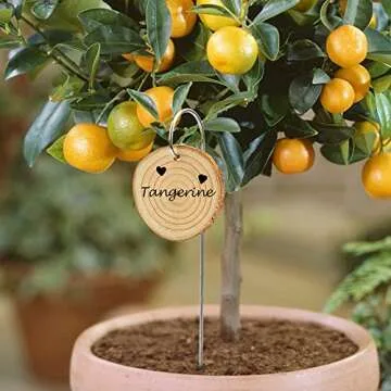 Wooden Plant Labels Set with Marker, 25 Customizable Garden Stakes