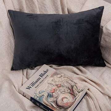 NTBAY 2 Pack Zippered Velvet Queen Pillowcases, Super Soft and Cozy Luxury Fuzzy Flannel Pillow Cases with Zipper, 20x30 Inches, Charcoal Grey