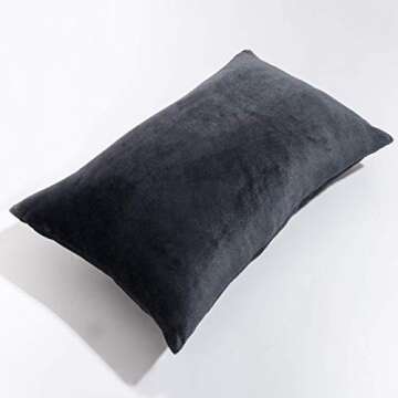 NTBAY 2 Pack Zippered Velvet Queen Pillowcases, Super Soft and Cozy Luxury Fuzzy Flannel Pillow Cases with Zipper, 20x30 Inches, Charcoal Grey