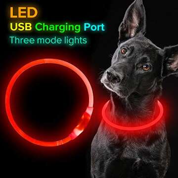 Led Dog Collar, BSEEN USB Rechargeable Flash Dog Necklace Light, Pet Safety Collar Makes Your Belove...