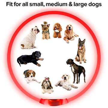 Led Dog Collar, BSEEN USB Rechargeable Flash Dog Necklace Light, Pet Safety Collar Makes Your Beloved Dogs Be Seen at Night for Small Medium Large Dogs(Red)