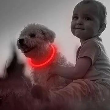 Led Dog Collar, BSEEN USB Rechargeable Flash Dog Necklace Light, Pet Safety Collar Makes Your Beloved Dogs Be Seen at Night for Small Medium Large Dogs(Red)