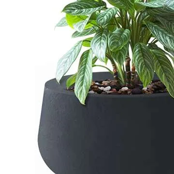 Kante 3-Piece Elegant Planter Set for Indoor and Outdoor Use