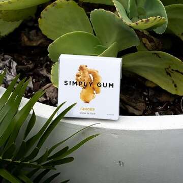 Simply Gum Ginger Flavor - Natural Chewing Gum Pack of Six