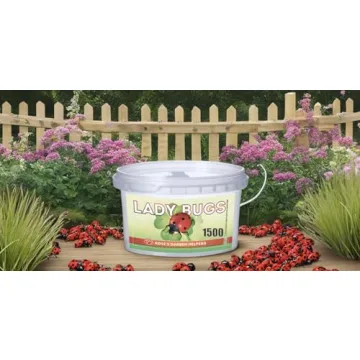 1500 Live Ladybugs for Natural Pest Control - Guaranteed Alive