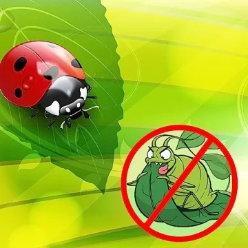 1500 Live Ladybugs for Natural Pest Control - Guaranteed Alive