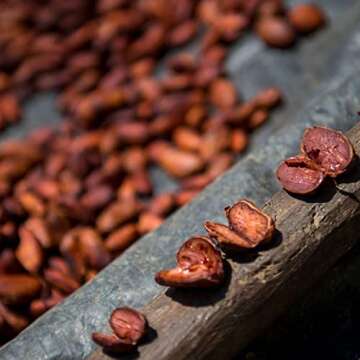 Single Origin Ceremonial Cacao | 100% Pure Organic Beverage | Sacred Maya Cacao | No Sugar or Additives | Anti-Oxidant Rich