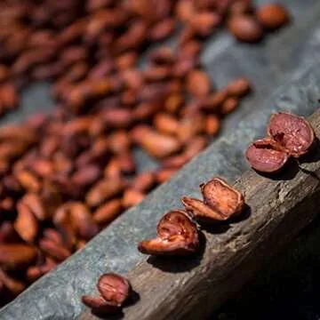 Single Origin Ceremonial Cacao | 100% Pure Organic Beverage | Sacred Maya Cacao | No Sugar or Additives | Anti-Oxidant Rich