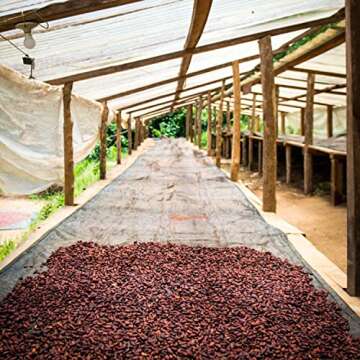 Single Origin Ceremonial Cacao | 100% Pure Organic Beverage | Sacred Maya Cacao | No Sugar or Additives | Anti-Oxidant Rich