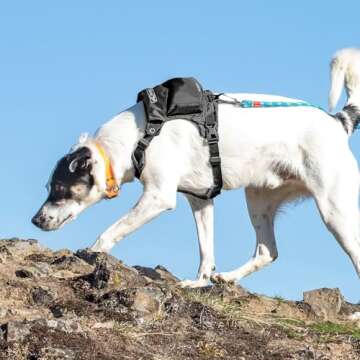 Kurgo Stash n’ Dash Dog Harness, Lightweight Vest Harness for Dogs, Pet Harness with Pocket, Folds...