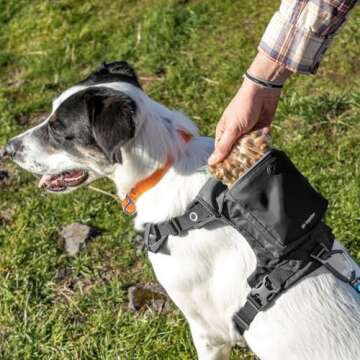 Kurgo Stash n’ Dash Dog Harness, Lightweight Vest Harness for Dogs, Pet Harness with Pocket, Folds into a Pouch, for Running, Hiking, Reflective, Black (Medium)