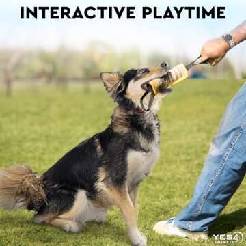 YES4QUALITY Dog Bite Tug Toy & Flirt Pole Bundle Review