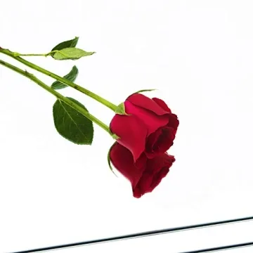 Ruomeng Frameless Mirror Tiles 12x12 4Pcs Home Decor