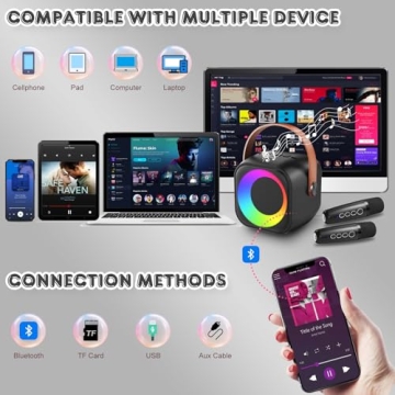 Karaoke Machine with Bluetooth and Dual Microphones