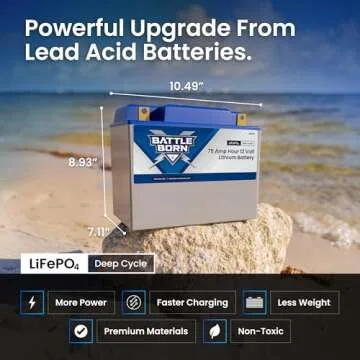 75Ah 12V Lithium-Ion (LiFePO4) RV, Van, Marine, Solar, & Off Grid Battery - Internal BMS, High & Low...