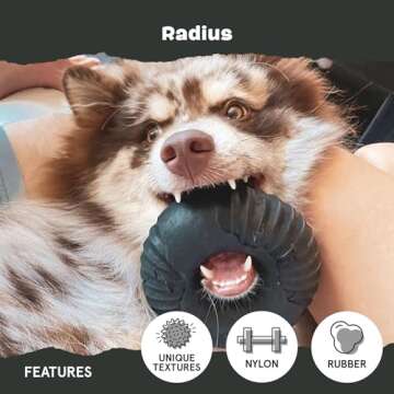 Barkbox Super Chewer Tough Dog Toy for Aggressive Chewers