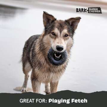 Barkbox Super Chewer Tough Dog Toy for Aggressive Chewers