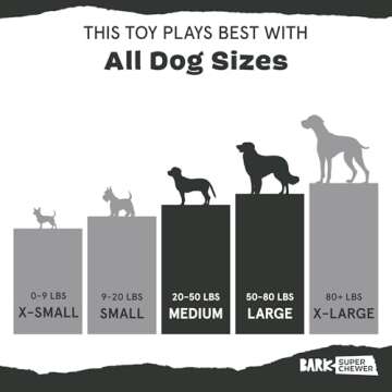 Barkbox Super Chewer Tough Dog Toy for Aggressive Chewers