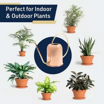 Elegant Indoor Watering Can with Brass Handle