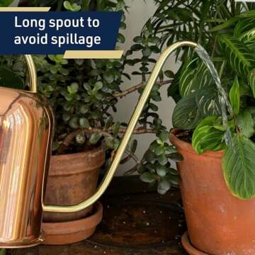 Elegant Indoor Watering Can with Brass Handle