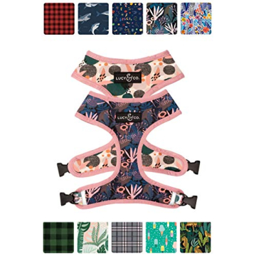 Lucy & Co. Reversible Dog Harness Walking Halter - Best Designer Pet Harnesses for Extra Small Mediu...