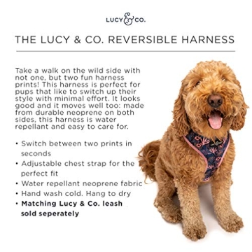 Stylish Reversible Dog Harness for All Sizes