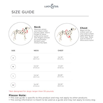 Stylish Reversible Dog Harness for All Sizes