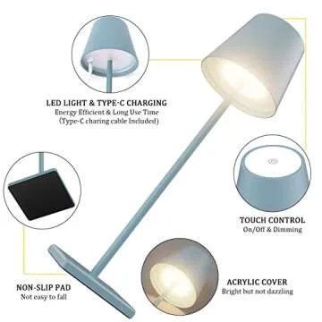 Howskys Cordless Table Lamp with Rechargeable Battery