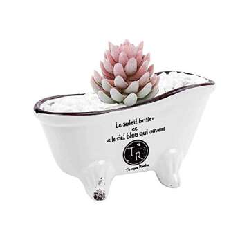 Originalidad French Country Style Bathtub Flower Pot, White Porcelain Vintage Flower Pot Planter, Bathtub Succulent Planter, Ideal for Small Succulent, Soap Dish, Home Decor (Set of 2)