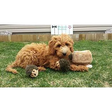 ZippyPaws Hedgehogs 12-Pack for Interactive Dog Play