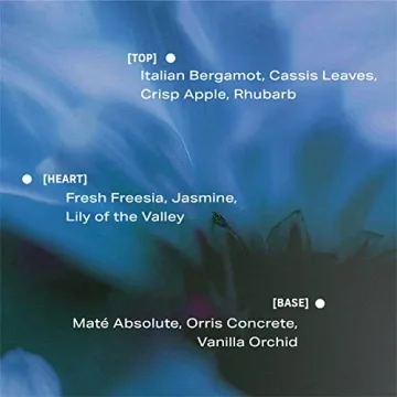 PHLUR Lost Cause Eau de Parfum Fresh Woody Floral Fragrance