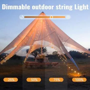 WERTIOO 33ft 100 LEDs Battery Operated String Lights Globe Fairy Lights with Remote Control for Outdoor/Indoor, Tent, Camping, Bedroom,Garden,Christmas Tree[8 Modes,Timer ] (Warm White)
