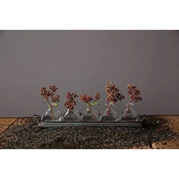 Elegant Decorative Iron Rectangle Tray with 5 Glass Vases
