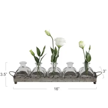 Elegant Decorative Iron Rectangle Tray with 5 Glass Vases