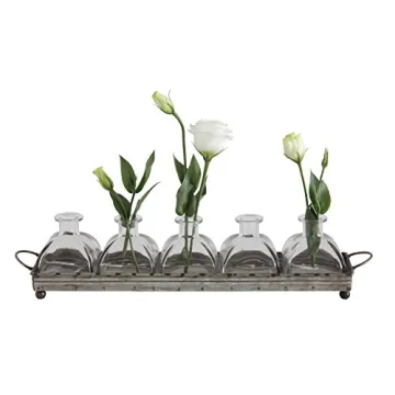 Elegant Decorative Iron Rectangle Tray with 5 Glass Vases