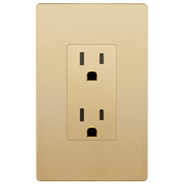 LIDER Gold Matte Finish Decorator Receptacle for Home