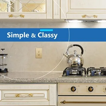 LIDER Gold Matte Finish Decorator Receptacle for Home