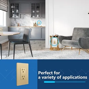 LIDER Gold Matte Finish Decorator Receptacle for Home