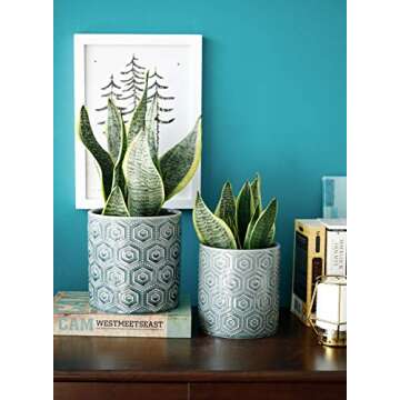 Greenaholics Ceramic Flower Pots Set - 6 & 5 Inch Planters