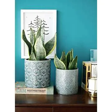 Greenaholics Ceramic Flower Pots Set - 6 & 5 Inch Planters