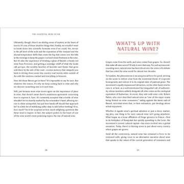 Essential Wine Guide: Learn & Explore Wine Today