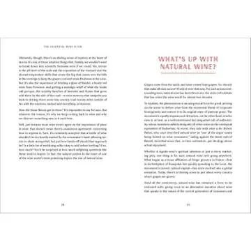 Essential Wine Guide: Learn & Explore Wine Today