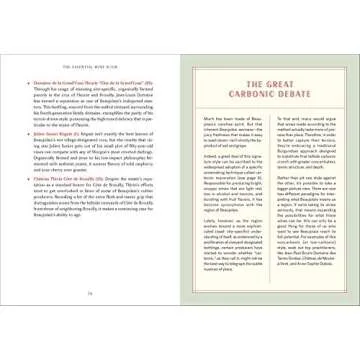 Essential Wine Guide: Learn & Explore Wine Today