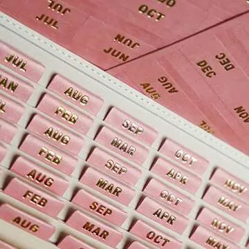 UPAFEXXI Leather Monthly Tabs - 48 Premium Planner Stickers