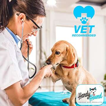 Handy Hound SnoutScreen - All-Natural Moisturizing Dog Nose Balm & Paw Balm for Cracked, Dry Noses - Vet Recommended made in the USA - Dog Sunscreen, Protects Against Harmful UVB/UVC Rays - 2 oz