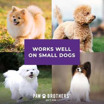 Ryan's Pet Supplies Paw Brothers Nail Clipper for Dogs and Cats, Pet Nail Clippers, Safe Grooming Tool, Professional Grade for Groomers, Stainless Steel Blades, Safety Guard, Small, 5 Inches